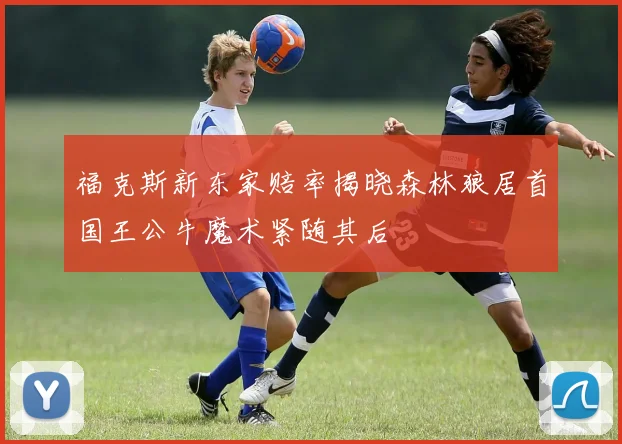 福克斯新东家赔率揭晓森林狼居首国王公牛魔术紧随其后