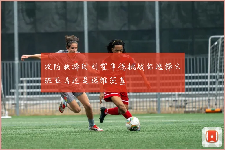 攻防抉择时刻霍华德挑战你选择文班亚马还是诺维茨基