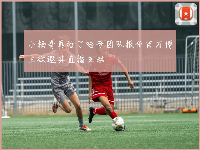 小杨哥真给了哈登团队报价百万博主欲邀其直播互动